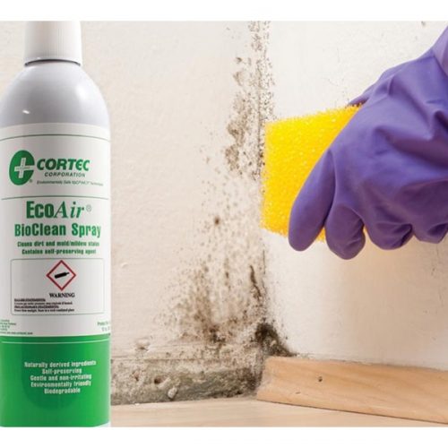 EcoAir BioClean Spray